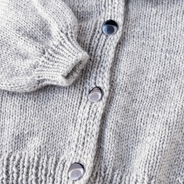 Traveler's Cardigan in Lanas Quick